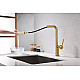 Заказать Смеситель для кухни Paulmark Neo Ne214419-BG Брашированное золото в магазине сантехники Santeh-Crystal.ru