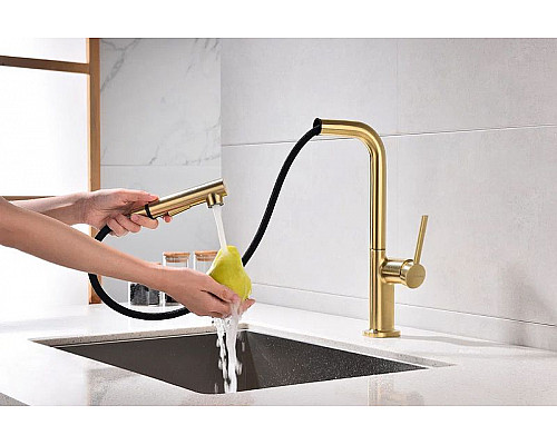 Заказать Смеситель для кухни Paulmark Neo Ne214419-BG Брашированное золото в магазине сантехники Santeh-Crystal.ru