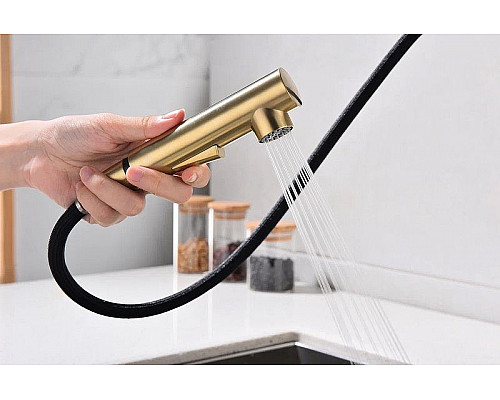 Заказать Смеситель для кухни Paulmark Neo Ne214419-BG Брашированное золото в магазине сантехники Santeh-Crystal.ru