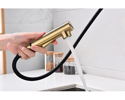 Заказать Смеситель для кухни Paulmark Neo Ne214419-BG Брашированное золото в магазине сантехники Santeh-Crystal.ru