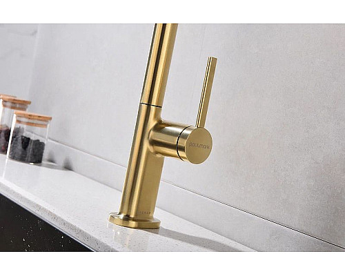 Заказать Смеситель для кухни Paulmark Neo Ne214419-BG Брашированное золото в магазине сантехники Santeh-Crystal.ru