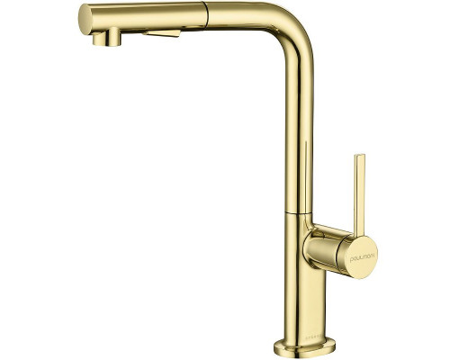 Купить Смеситель для кухни Paulmark Neo Ne214419-G Золото в магазине сантехники Santeh-Crystal.ru