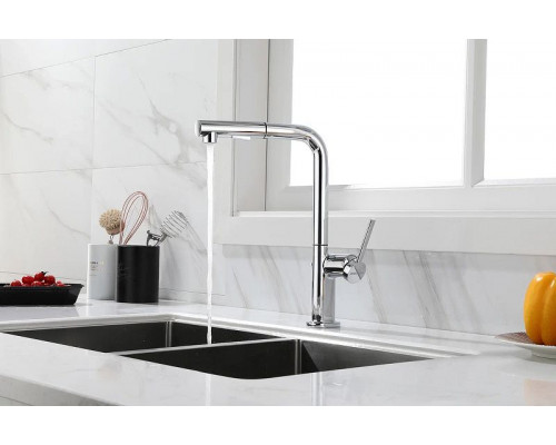 Приобрести Смеситель для кухни Paulmark Neo Ne214419-CR Хром в магазине сантехники Santeh-Crystal.ru