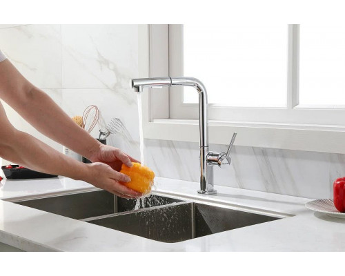 Приобрести Смеситель для кухни Paulmark Neo Ne214419-CR Хром в магазине сантехники Santeh-Crystal.ru