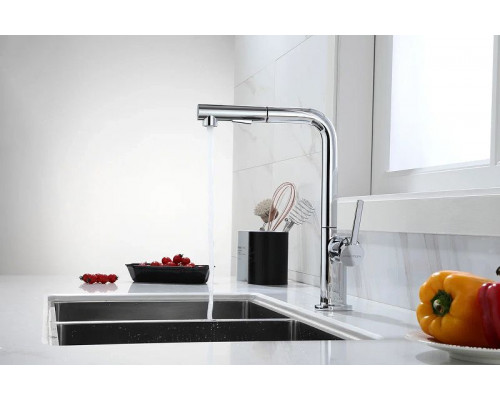 Приобрести Смеситель для кухни Paulmark Neo Ne214419-CR Хром в магазине сантехники Santeh-Crystal.ru