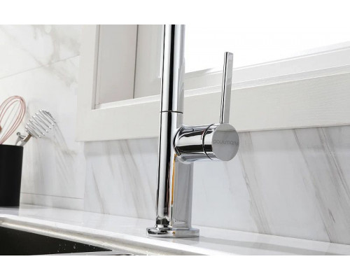 Приобрести Смеситель для кухни Paulmark Neo Ne214419-CR Хром в магазине сантехники Santeh-Crystal.ru