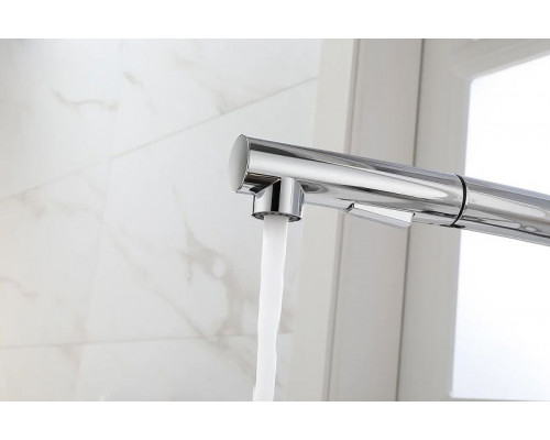 Приобрести Смеситель для кухни Paulmark Neo Ne214419-CR Хром в магазине сантехники Santeh-Crystal.ru