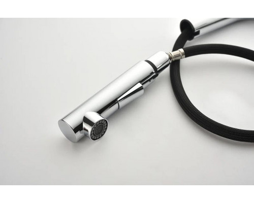 Приобрести Смеситель для кухни Paulmark Neo Ne214419-CR Хром в магазине сантехники Santeh-Crystal.ru