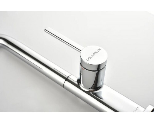 Приобрести Смеситель для кухни Paulmark Neo Ne214419-CR Хром в магазине сантехники Santeh-Crystal.ru