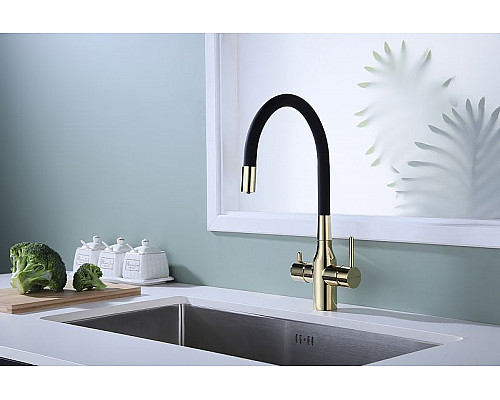 Приобрести Смеситель для кухни Paulmark Salix Sa213419-G Золото в магазине сантехники Santeh-Crystal.ru