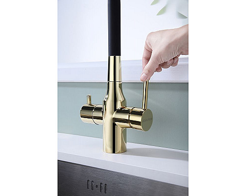 Приобрести Смеситель для кухни Paulmark Salix Sa213419-G Золото в магазине сантехники Santeh-Crystal.ru