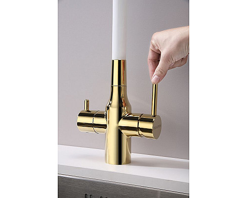 Купить Смеситель для кухни Paulmark Salix Sa213419-Gw Золото Белый в магазине сантехники Santeh-Crystal.ru