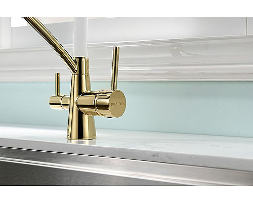 Купить Смеситель для кухни Paulmark Siegen Si213111-Gw Золото Белый в магазине сантехники Santeh-Crystal.ru