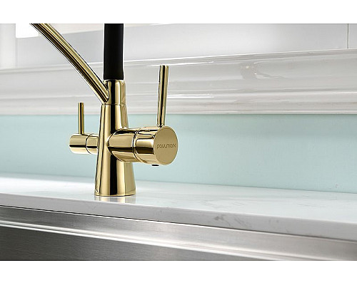 Заказать Смеситель для кухни Paulmark Siegen Si213111-G Золото в магазине сантехники Santeh-Crystal.ru