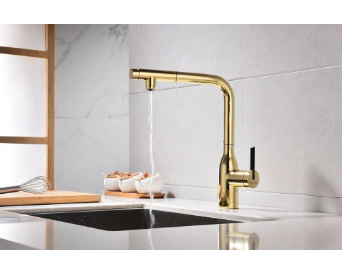 Купить Смеситель для кухни Paulmark Viper Vi213105-G Золото в магазине сантехники Santeh-Crystal.ru
