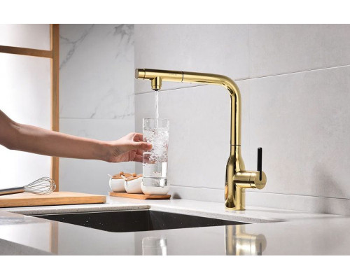 Купить Смеситель для кухни Paulmark Viper Vi213105-G Золото в магазине сантехники Santeh-Crystal.ru
