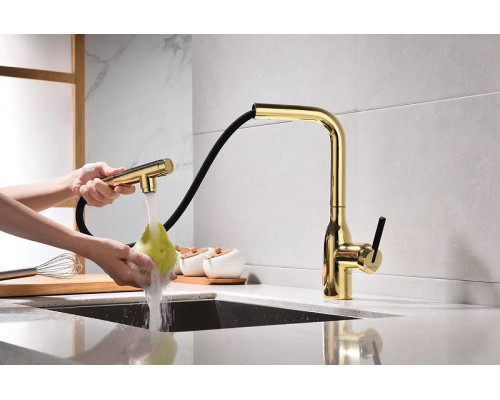 Купить Смеситель для кухни Paulmark Viper Vi213105-G Золото в магазине сантехники Santeh-Crystal.ru