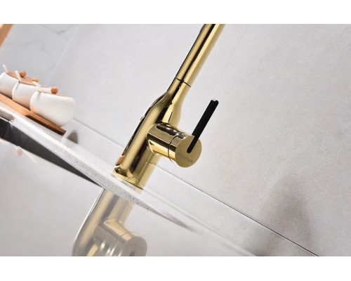 Купить Смеситель для кухни Paulmark Viper Vi213105-G Золото в магазине сантехники Santeh-Crystal.ru