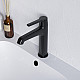 Заказать Смеситель для раковины RGW Shower Panels SP-301B 511405301-04 Черный матовый в магазине сантехники Santeh-Crystal.ru
