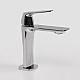 Купить Смеситель для раковины WasserKRAFT Neime 1903 Хром в магазине сантехники Santeh-Crystal.ru
