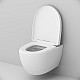 Купить Комплект унитаза AM.PM Awe C111738SC с инсталляцией Grohe Rapid SL 38772001 с сиденьем Микролифт и клавишей смыва Хром в магазине сантехники Santeh-Crystal.ru