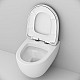 Купить Комплект унитаза AM.PM Awe C111738SC с инсталляцией Grohe Rapid SL 38772001 с сиденьем Микролифт и клавишей смыва Хром в магазине сантехники Santeh-Crystal.ru