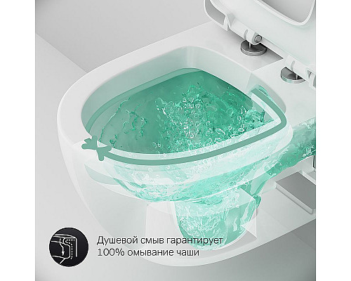 Santeh-Crystal.ru: Комплект унитаза AM.PM Awe C111738SC с инсталляцией Grohe Rapid SL 38772001 с сиденьем Микролифт и клавишей смыва Хром Купить Комплект унитаза AM.PM Awe C111738SC с инсталляцией Grohe Rapid SL 38772001 с сиденьем Микролифт и клавишей смыва Хром в магазине сантехники Santeh-Crystal.ru
