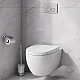 Купить Комплект унитаза AM.PM Awe C111738SC с инсталляцией Grohe Rapid SL 38772001 с сиденьем Микролифт и клавишей смыва Хром в магазине сантехники Santeh-Crystal.ru