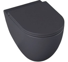 Унитаз Allen Brau Reality 4.32006.AN подвесной Антрацит без сиденья