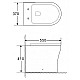 Унитаз BelBagno Ancona BB1224CBR-P приставной без сиденья