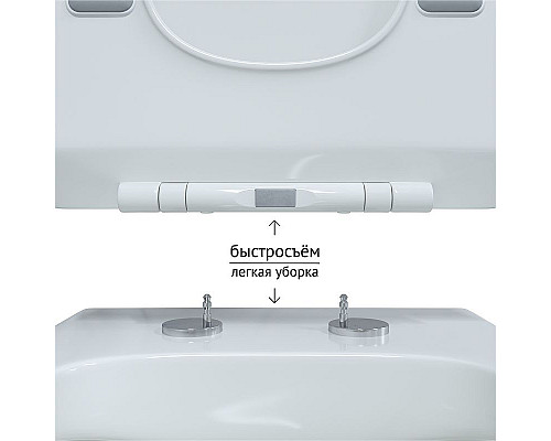 Santeh-Crystal.ru: Комплект унитаза с инсталляцией Berges Floe Rimless 043275 с сиденьем Микролифт и Черной матовой клавишей смыва Купить Комплект унитаза с инсталляцией Berges Floe Rimless 043275 с сиденьем Микролифт и Черной матовой клавишей смыва в магазине сантехники Santeh-Crystal.ru