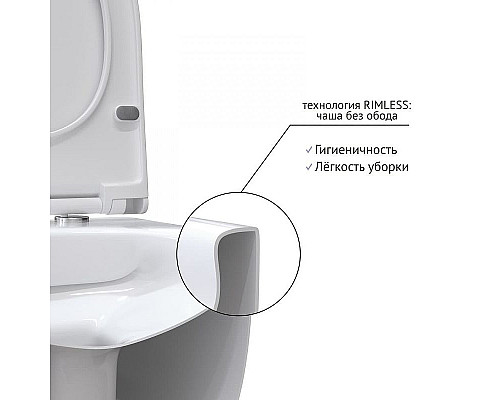 Santeh-Crystal.ru: Комплект унитаза с инсталляцией Berges Floe Rimless 043279 с сиденьем Микролифт и Черной матовой клавишей смыва Заказать Комплект унитаза с инсталляцией Berges Floe Rimless 043279 с сиденьем Микролифт и Черной матовой клавишей смыва в магазине сантехники Santeh-Crystal.ru