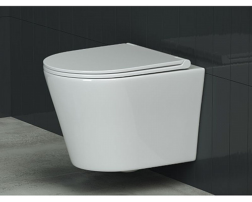 Купить Унитаз Ceramica Nova Forma CN3011 подвесной с сиденьем Микролифт в магазине сантехники Santeh-Crystal.ru