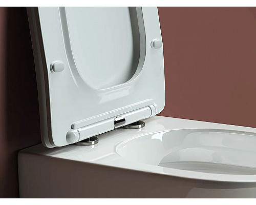 Santeh-Crystal.ru: Комплект унитаза Ceramica Nova Forma CN3009 с инсталляцией Tece Base 9400413 с сиденьем Микролифт и Белой клавишей смыва Приобрести Комплект унитаза Ceramica Nova Forma CN3009 с инсталляцией Tece Base 9400413 с сиденьем Микролифт и Белой клавишей смыва в магазине сантехники Santeh-Crystal.ru