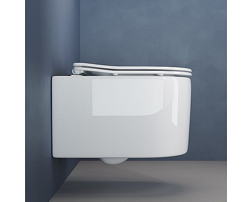 Приобрести Унитаз Ceramica Nova Moments CN3003 подвесной с сиденьем Микролифт в магазине сантехники Santeh-Crystal.ru