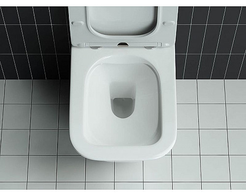Приобрести Унитаз Ceramica Nova Mono CN1902 подвесной с сиденьем Микролифт в магазине сантехники Santeh-Crystal.ru