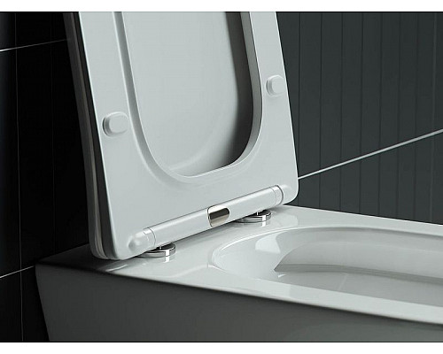 Приобрести Унитаз Ceramica Nova Mono CN1902 подвесной с сиденьем Микролифт в магазине сантехники Santeh-Crystal.ru