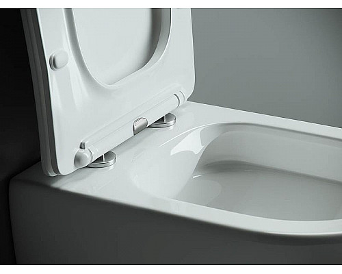 Приобрести Унитаз Ceramica Nova Mono CN1905 подвесной с сиденьем Микролифт в магазине сантехники Santeh-Crystal.ru