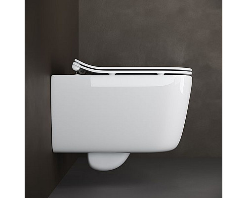 Заказать Унитаз Ceramica Nova New Day CN3005 подвесной с сиденьем Микролифт в магазине сантехники Santeh-Crystal.ru