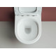 Унитаз с инсталляцией Ceramicanova Forma CN3009 + Grohe Rapid SL 38721001 с сиденьем Микролифт и клавишей смыва Хром
