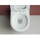 Унитаз с инсталляцией Ceramicanova Forma CN3009_121001CH цвет Белый с сиденьем Микролифт и клавишей смыва цвет Хром глянцевый