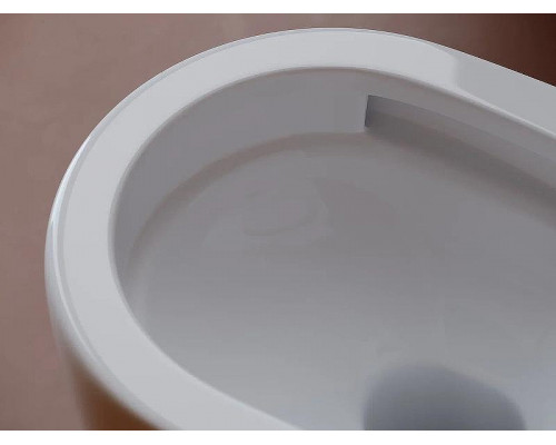 Унитаз Ceramicanova UP Rimless CN4007 подвесной Белый с сиденьем Микролифт