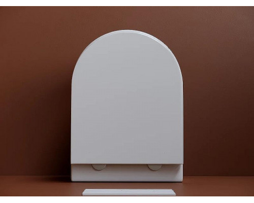 Унитаз Ceramicanova UP Rimless CN4007 подвесной Белый с сиденьем Микролифт