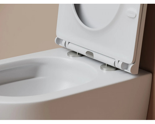 Унитаз подвесной Ceramicanova Тренд (Vogue) CN4008TMW цвет Белый матовый с сиденьем Микролифт