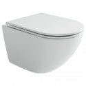 Унитаз подвесной Ceramicanova Вихрь (Whirl) CN11007T цвет Белый с сиденьем Микролифт Унитаз подвесной Ceramicanova Вихрь (Whirl) CN11007T цвет Белый с сиденьем Микролифт