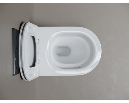 Унитаз подвесной Ceramicanova Вихрь (Whirl) CN11007T цвет Белый с сиденьем Микролифт