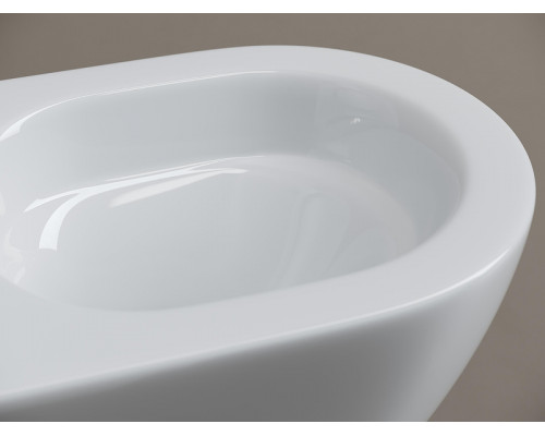 Унитаз подвесной Ceramicanova Вихрь (Whirl) CN11007T цвет Белый с сиденьем Микролифт