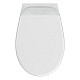 Купить Комплект унитаза Cersanit Delfi TPL S-MZ-DELFI-PL с инсталляцией Grohe Rapid SL 38721001 с сиденьем Микролифт и клавишей смыва Хром в магазине сантехники Santeh-Crystal.ru