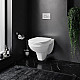 Заказать Комплект унитаза Damixa Jupiter DX77C1738SC с инсталляцией Grohe Rapid SL 38721001 с сиденьем Микролифт и клавишей смыва Хром в магазине сантехники Santeh-Crystal.ru