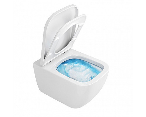 Santeh-Crystal.ru: Унитаз Excellent Ness CENL.3509.500.WH подвесной с сиденьем Микролифт Купить Унитаз Excellent Ness CENL.3509.500.WH подвесной с сиденьем Микролифт в магазине сантехники Santeh-Crystal.ru